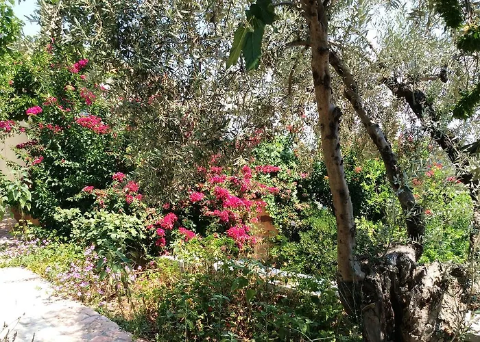 Aparthotel Angelica Epidaurus