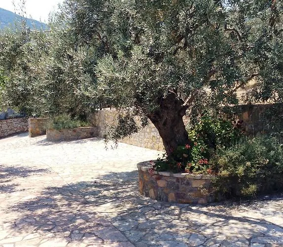 Angelica Aparthotel Epidaurus