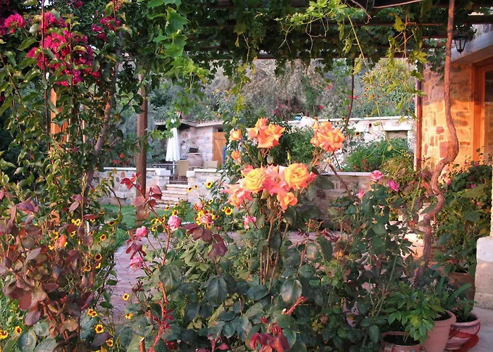 Aparthotel Angelica 4*