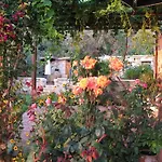 公寓式酒店 安吉利卡别墅酒店公寓 4*
