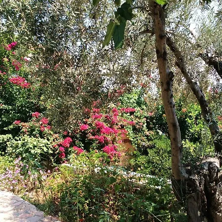 公寓式酒店 安吉利卡别墅酒店公寓 Epidaurus