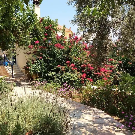 安吉利卡别墅酒店公寓 4* Epidaurus