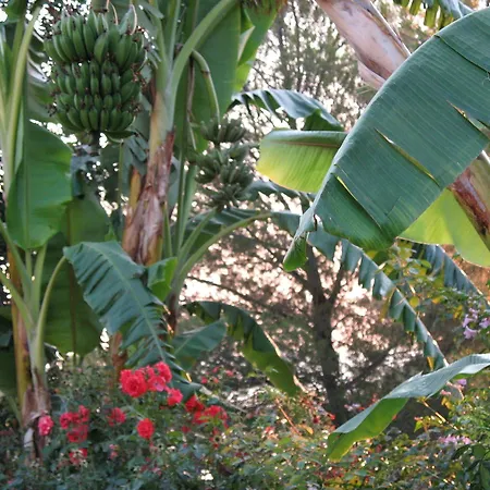 Angelica Apartmanhotel