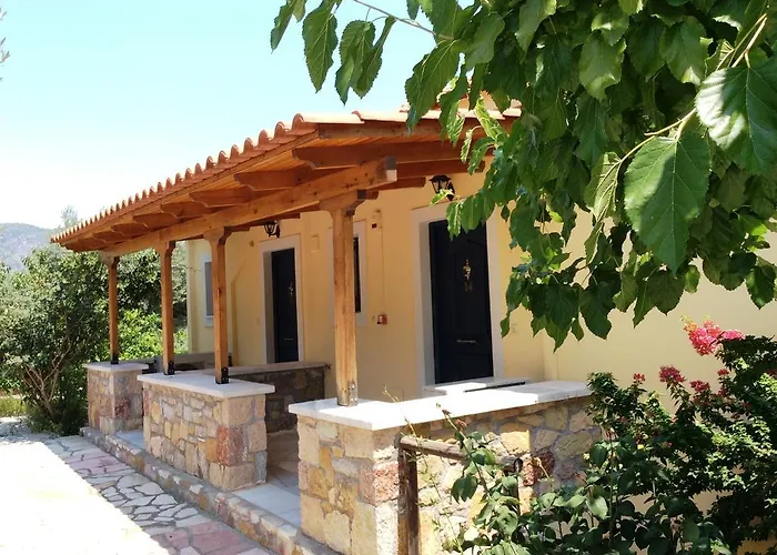 Angelica エピダウロス