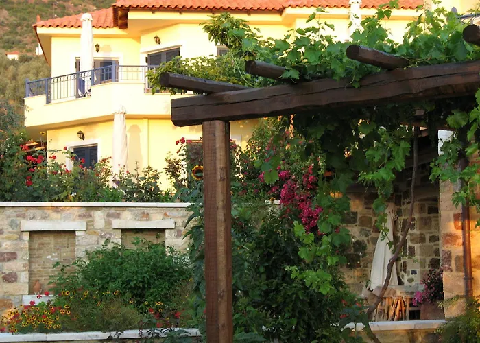 Angelica エピダウロス