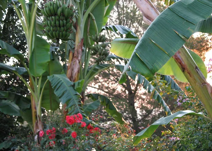 Angelica アパートホテル